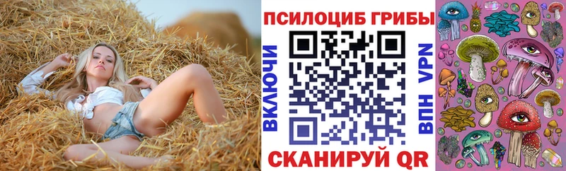 Псилоцибиновые грибы MAGIC MUSHROOMS  МЕГА ССЫЛКА  Волосово 
